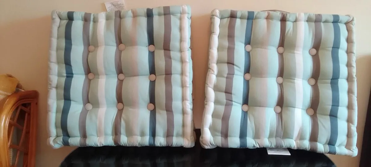 2 x Booster Cushions - Image 1