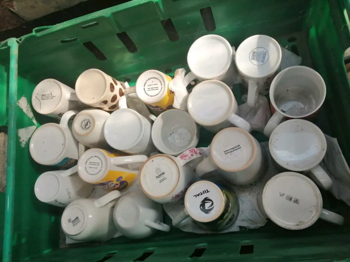 Cups - Image 1