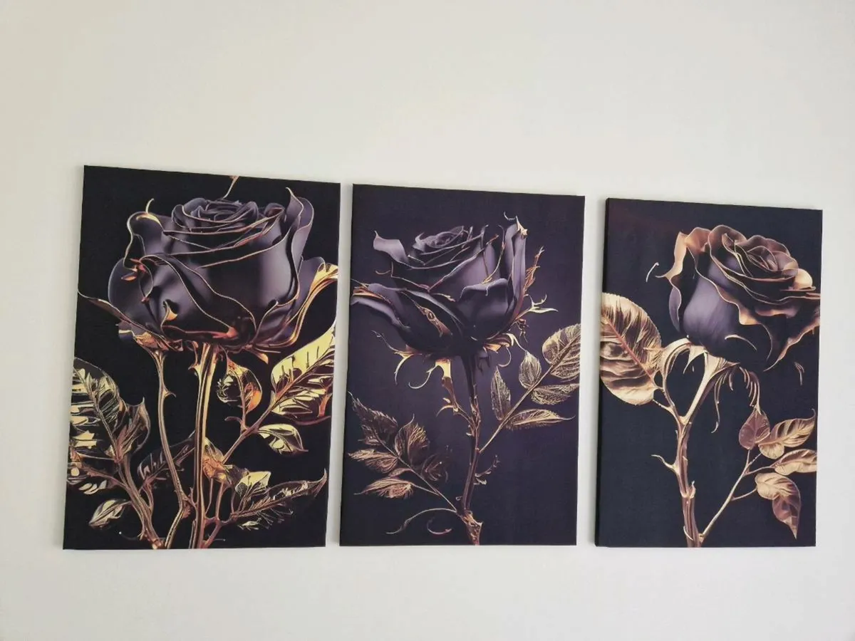 3 canvas 43 cm x 68 cm each - Image 3