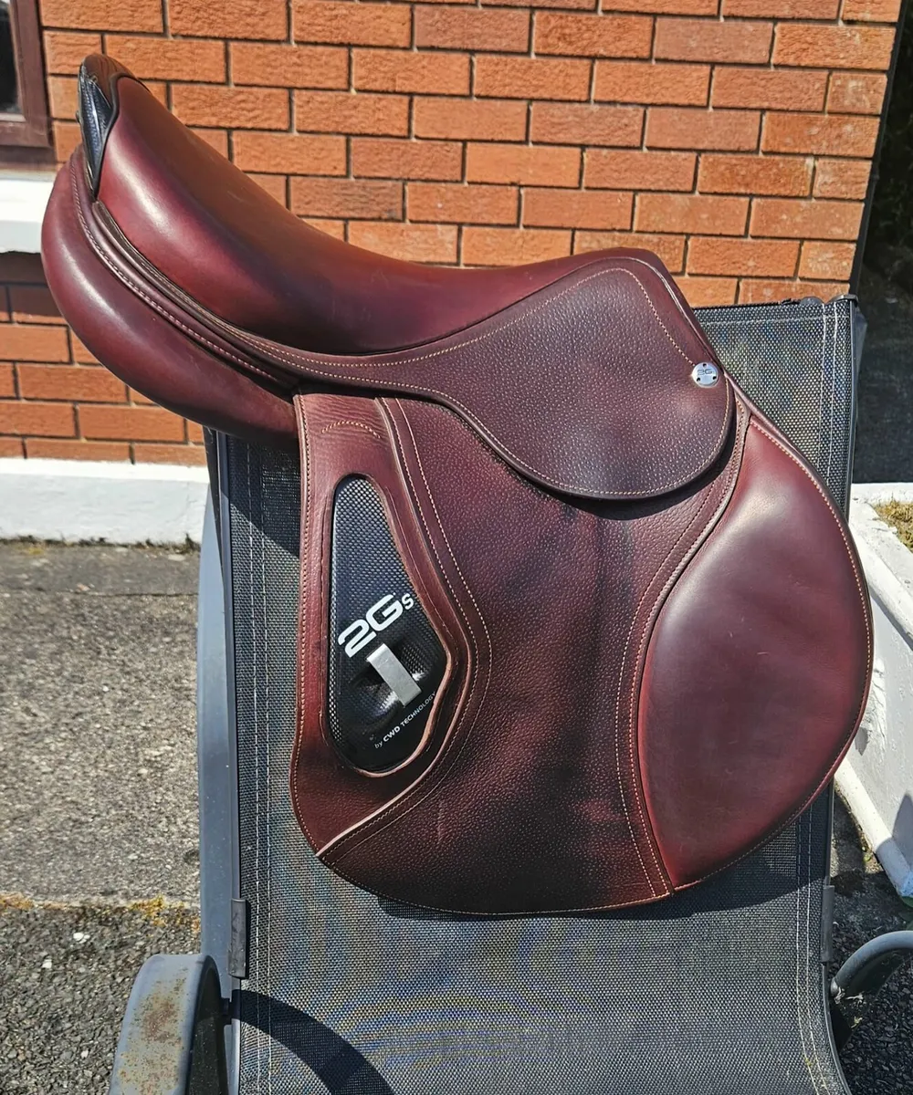 CWD Saddle - Image 1