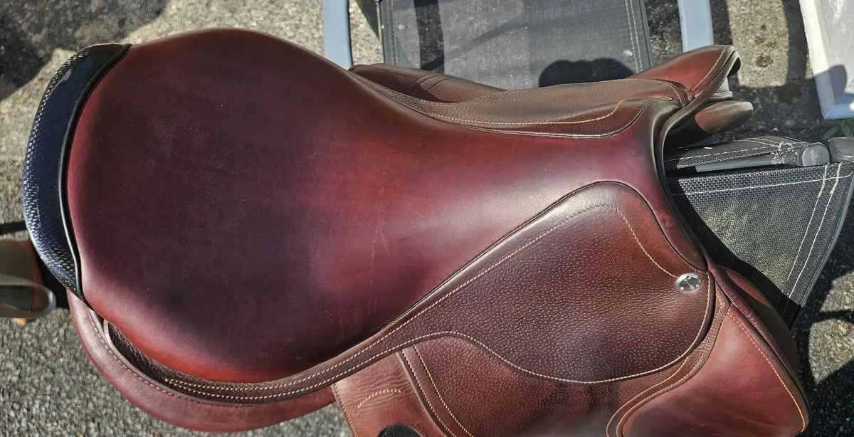 CWD Saddle - Image 2