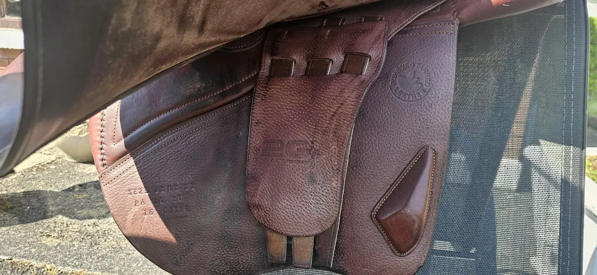 CWD Saddle - Image 4