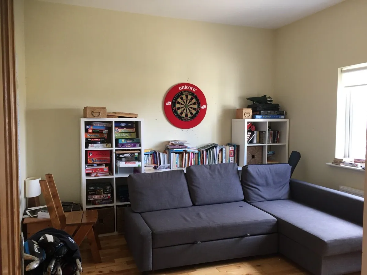 Fold out sofa bed couch