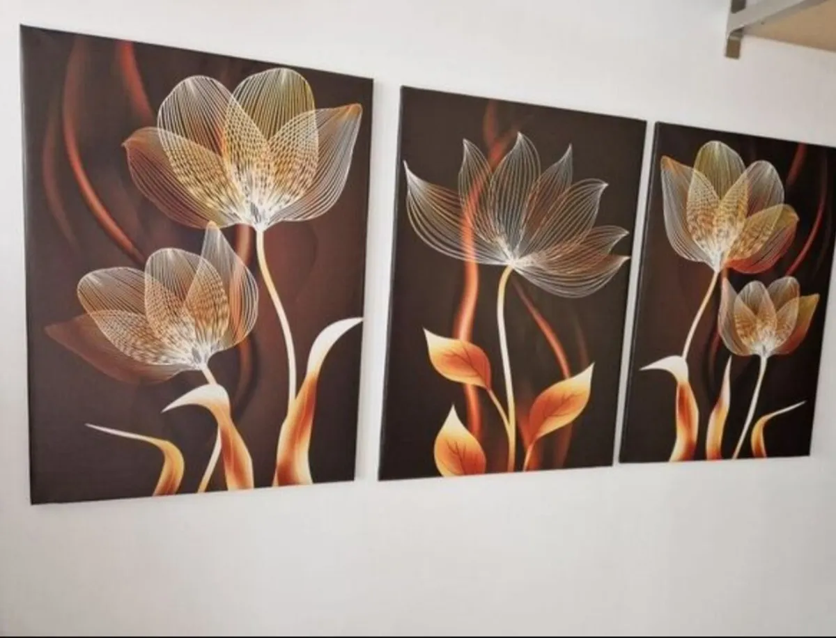 3 canvas 43 cm x 68 cm each - Image 1