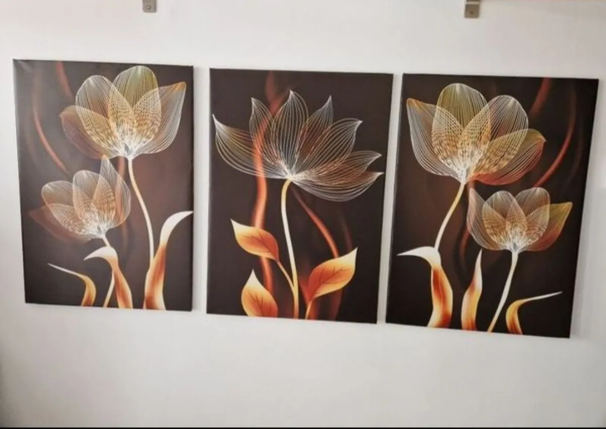 3 canvas 43 cm x 68 cm each - Image 2