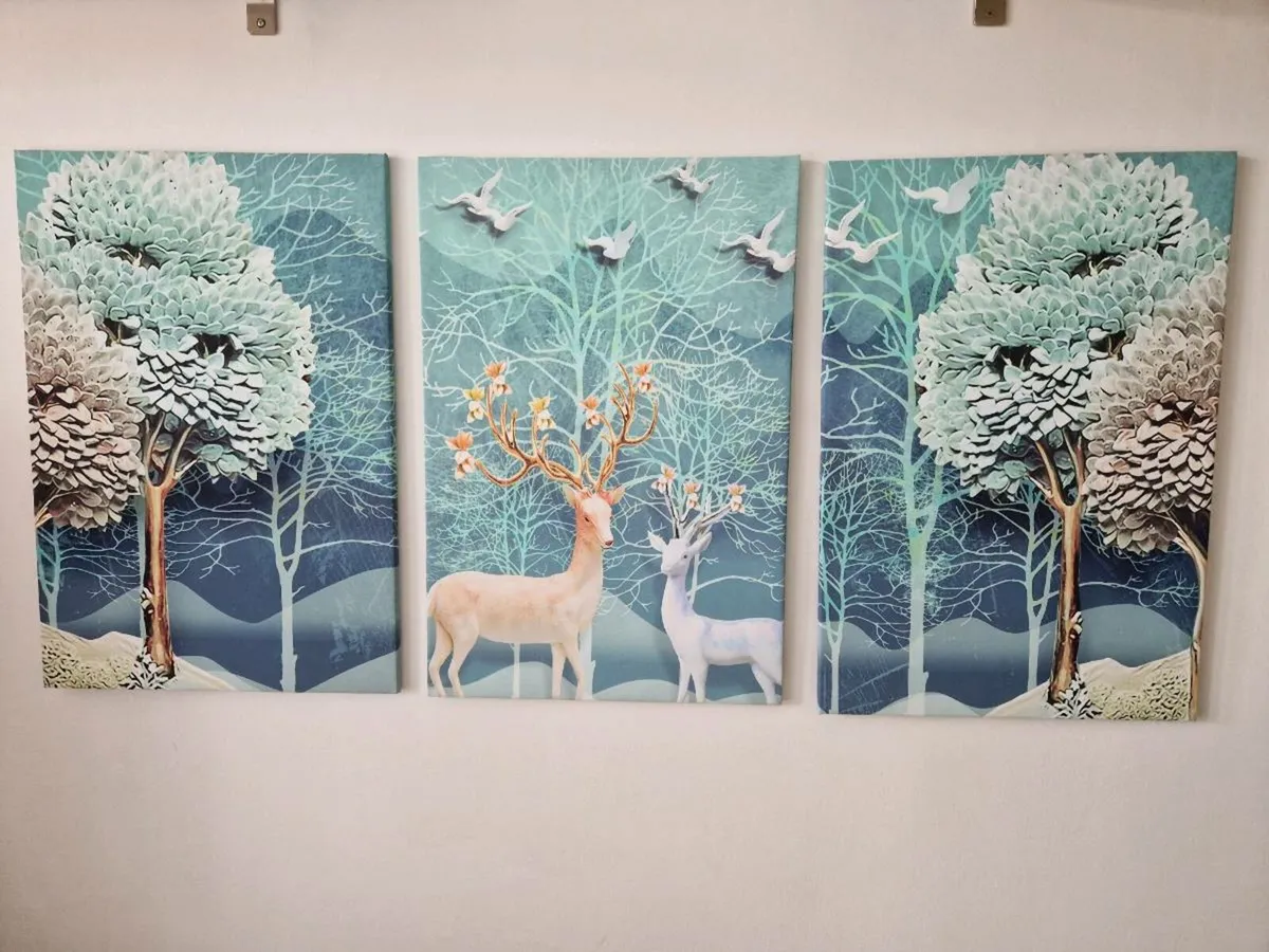 3 canvas 43 cm x 68 cm each - Image 2