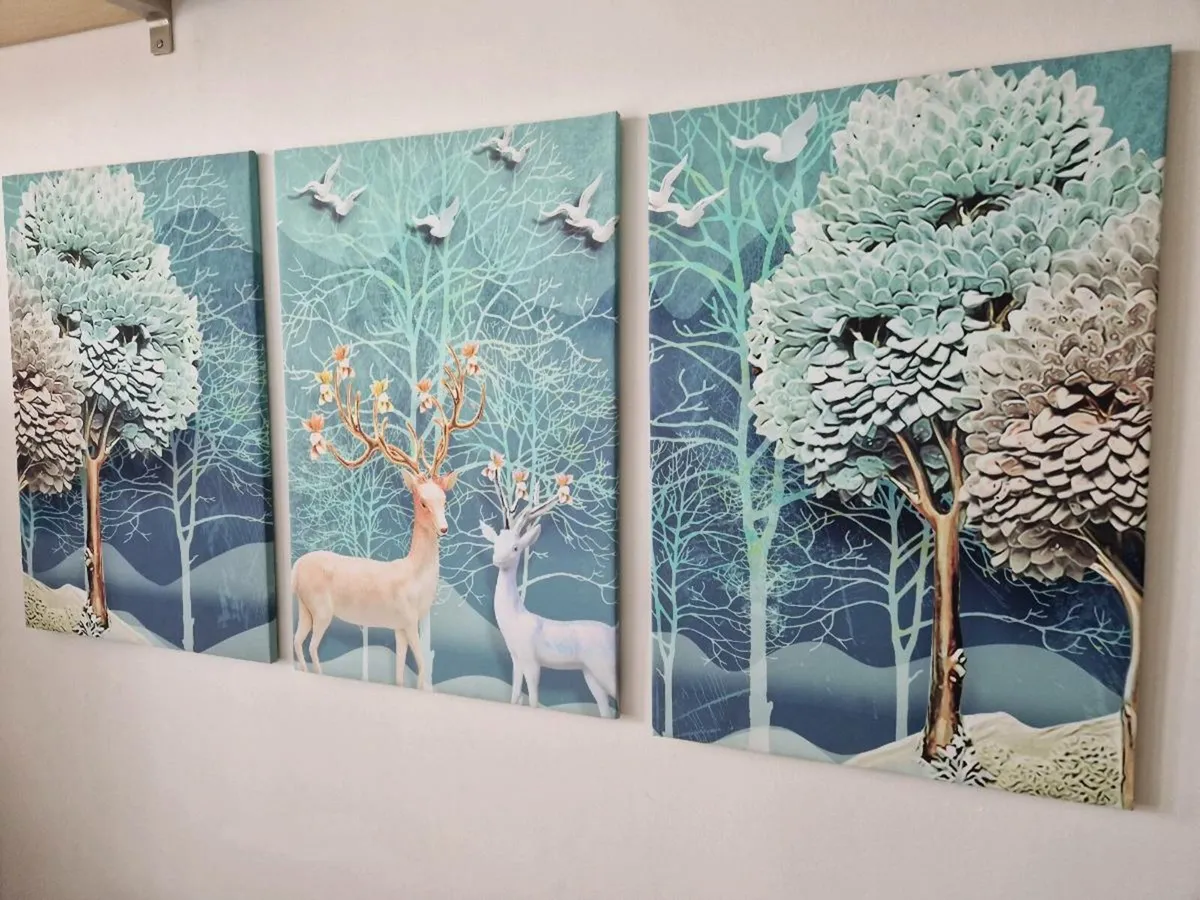 3 canvas 43 cm x 68 cm each - Image 4