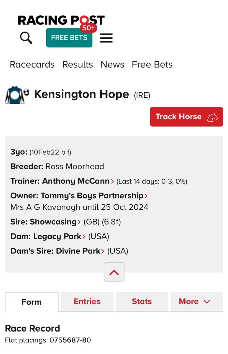Racing horse - Image 1