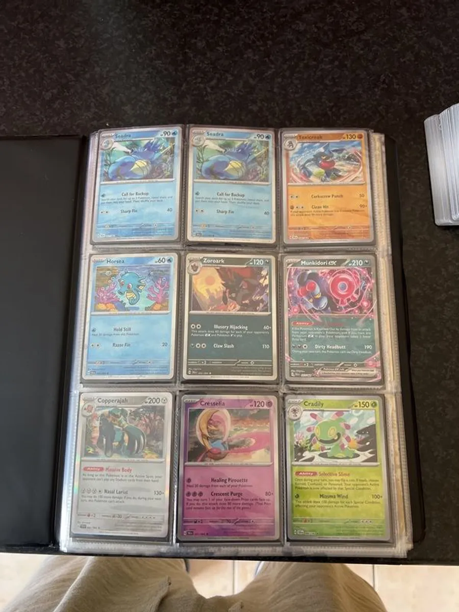 Pokemon Binder - Image 1