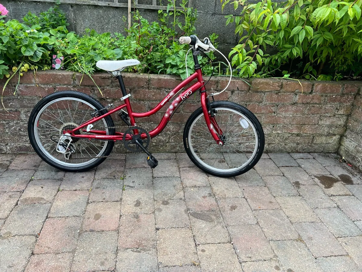 Lovely Girls Bike size 20 in great condition - Image 4