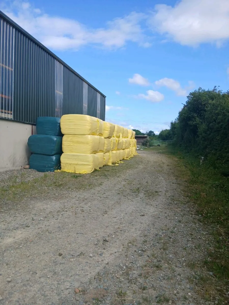 2025 Haylage bales - Image 4