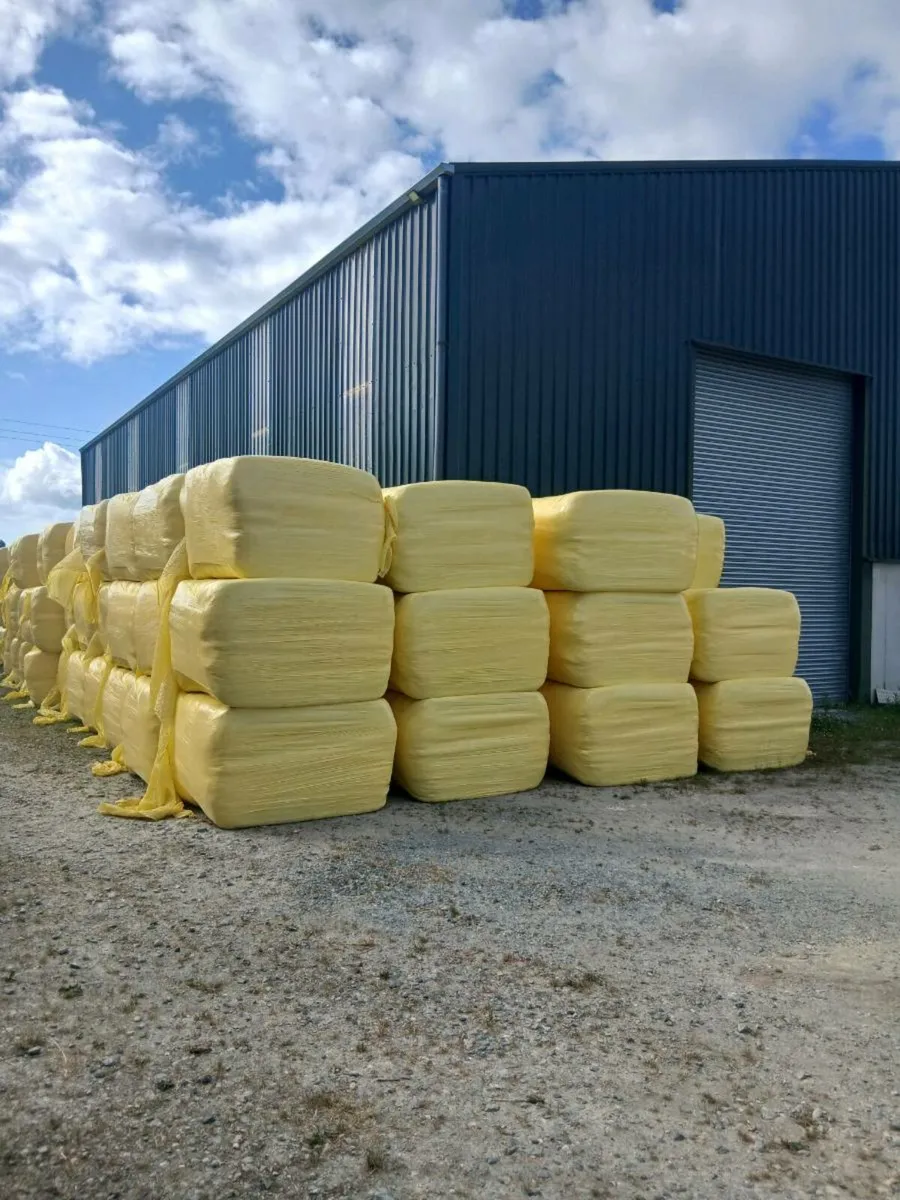 2025 Haylage bales - Image 1