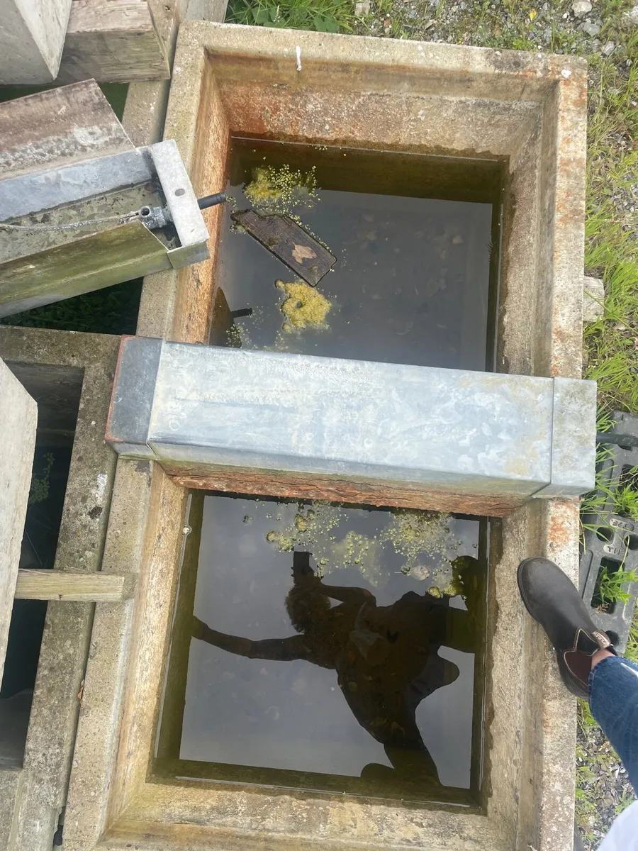 Concrete drinkers - Image 2
