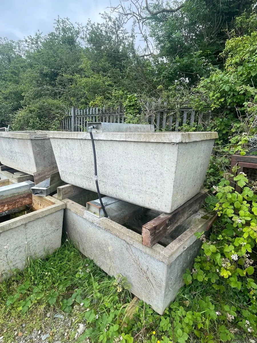 Concrete drinkers - Image 3