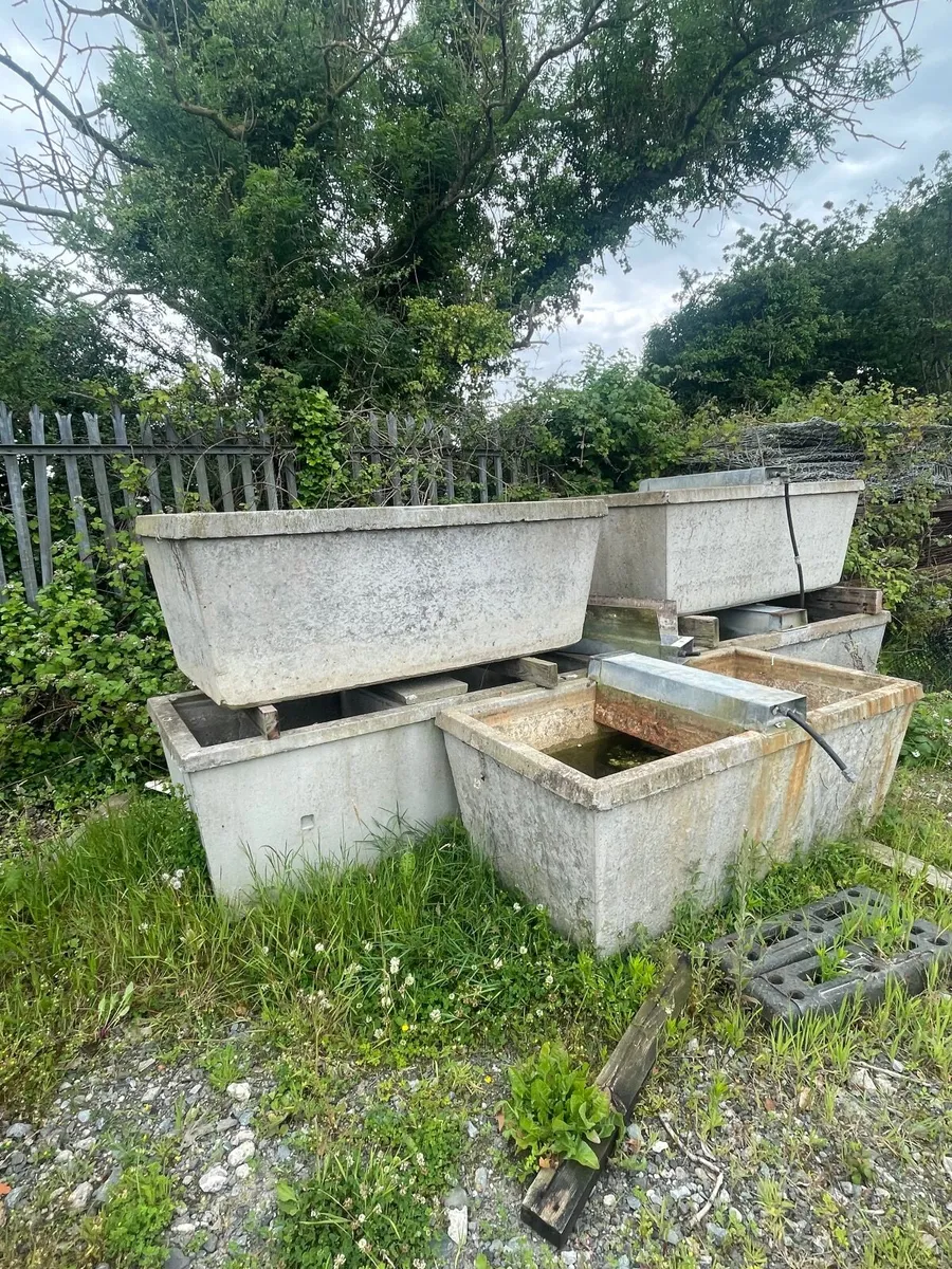 Concrete drinkers - Image 1