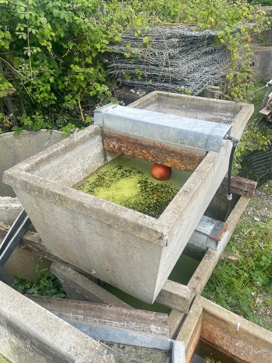 Concrete drinkers - Image 4