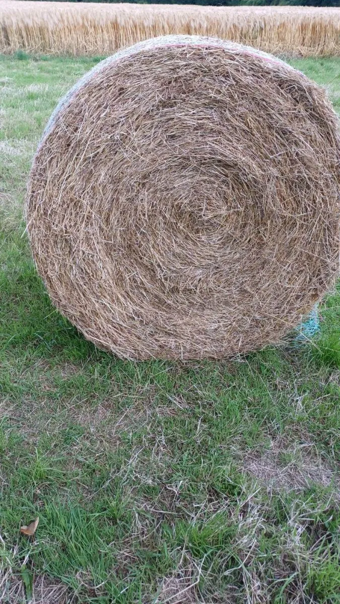 Hay 4x4 - Image 1