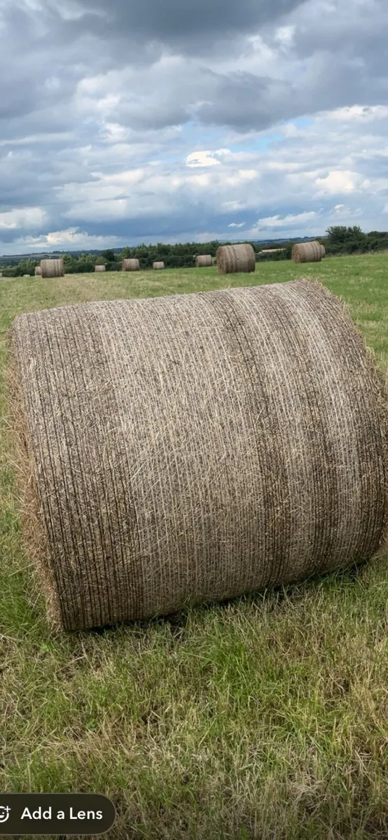 Hay bales - Image 1
