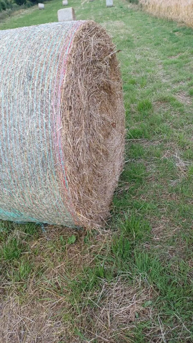 Hay 4x4 - Image 2