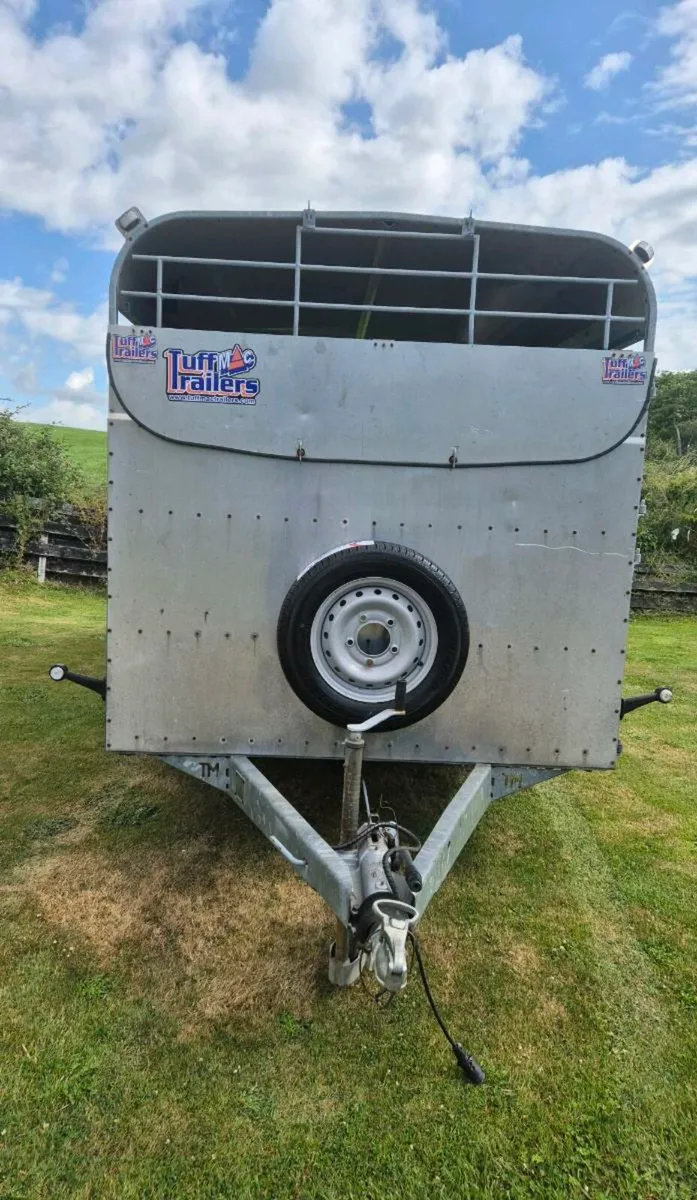 Tuffmac  14 x 6 cattle trailer - Image 2