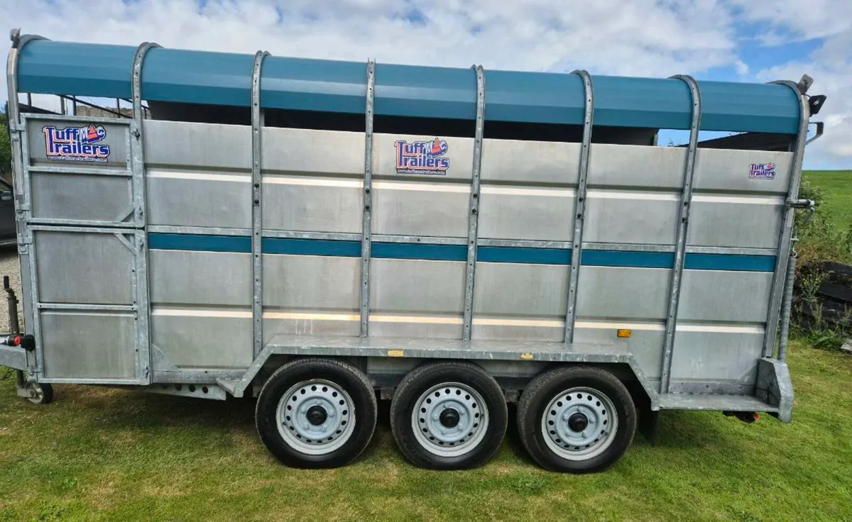 Tuffmac  14 x 6 cattle trailer - Image 4