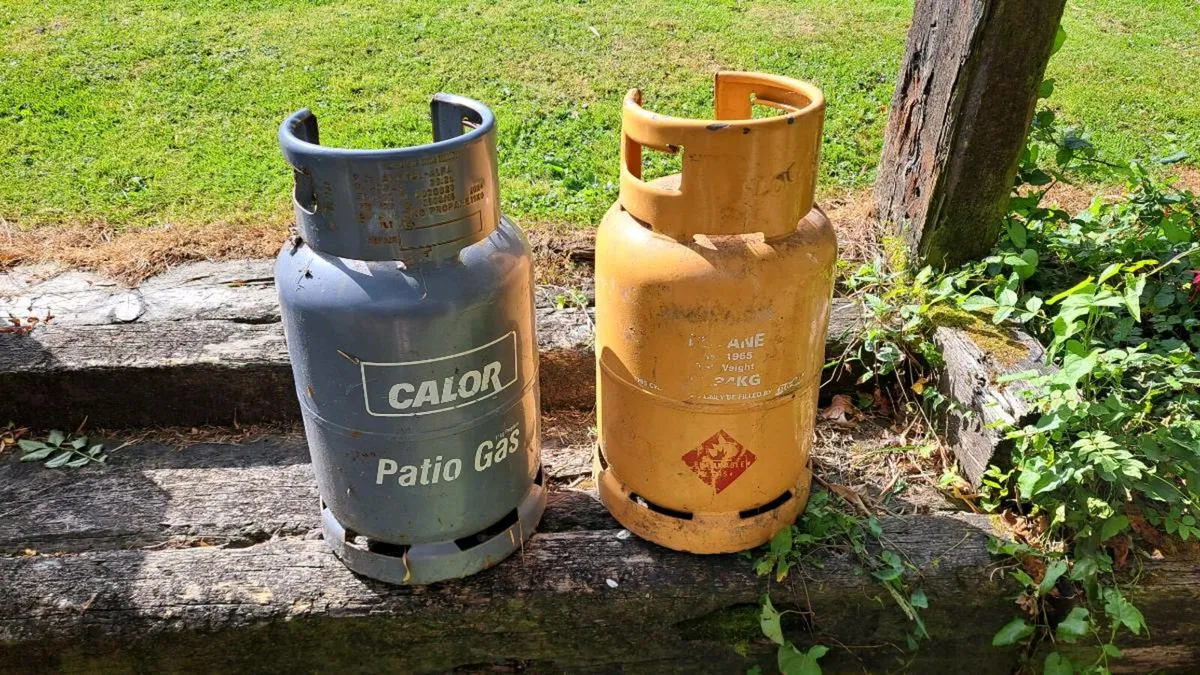 Gas BBQ - Image 2