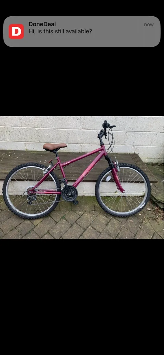 Ladies bike