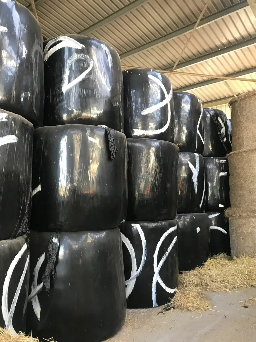 Haylage  for sale