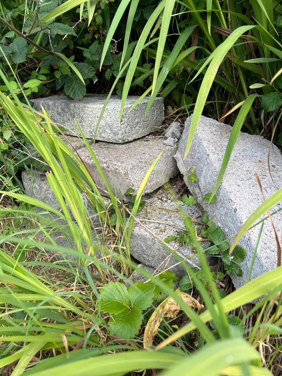 Concrete blocks free to take away - Image 2