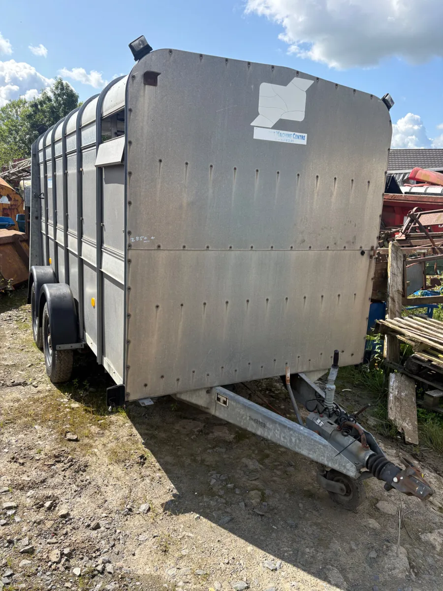 Ifor Williams 12ft cattle trailer - Image 1