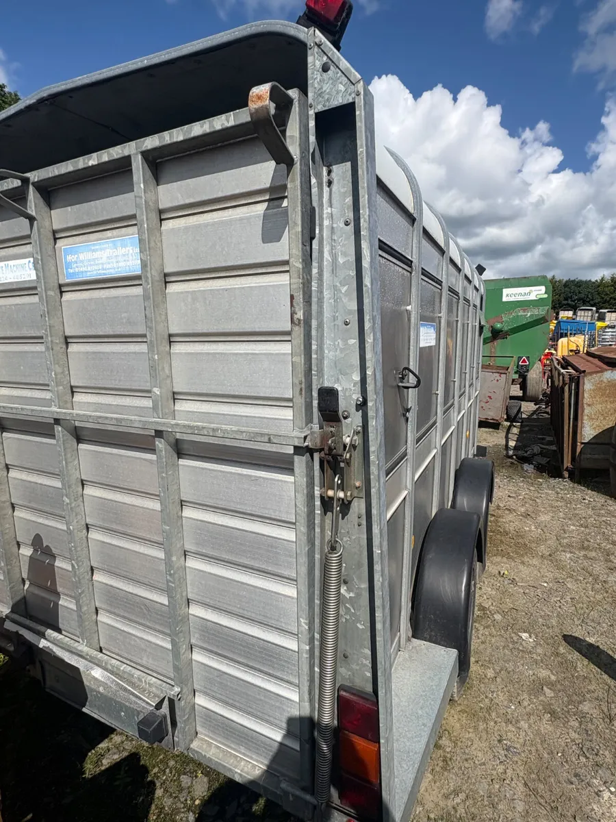 Ifor Williams 12ft cattle trailer - Image 2