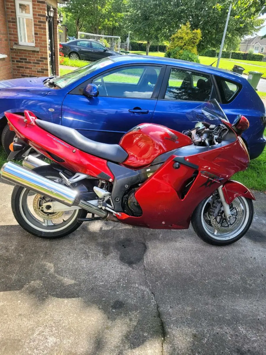 Honda blackbird - Image 1