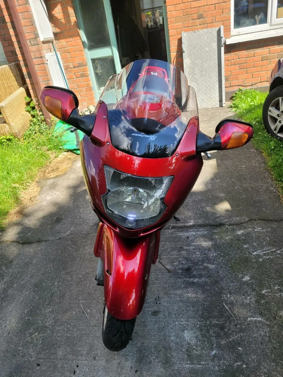 Honda blackbird - Image 2