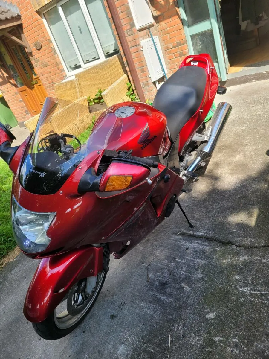 Honda blackbird - Image 3