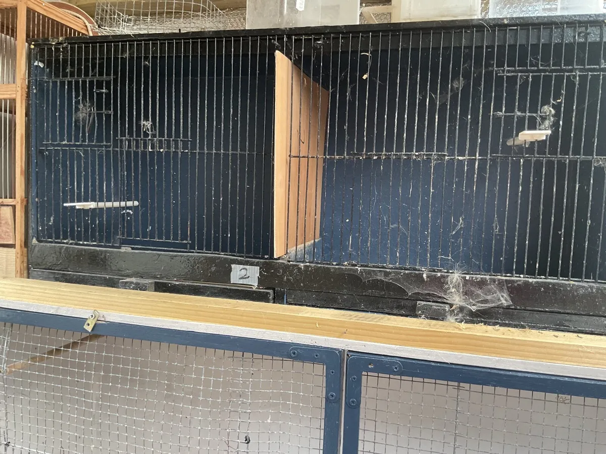 Bird cages - Image 1