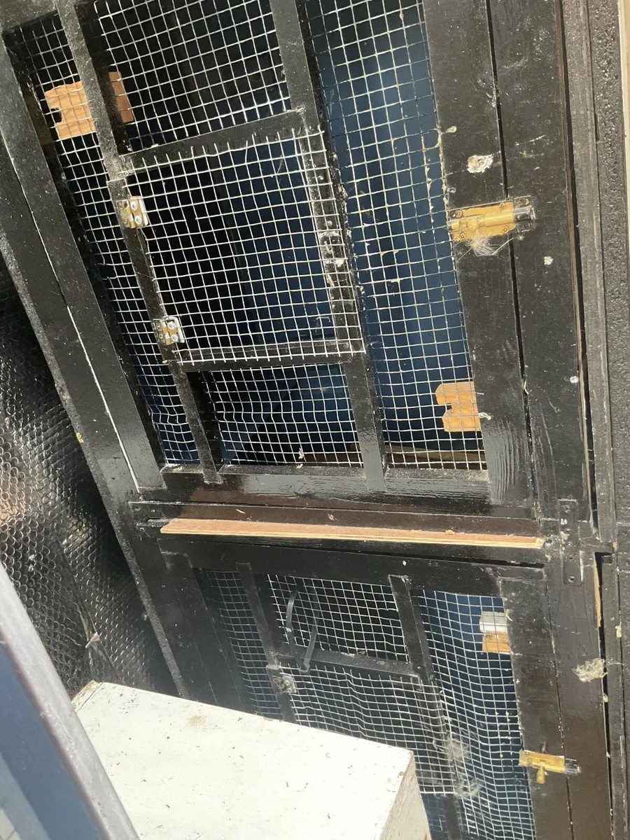 Bird cages - Image 3