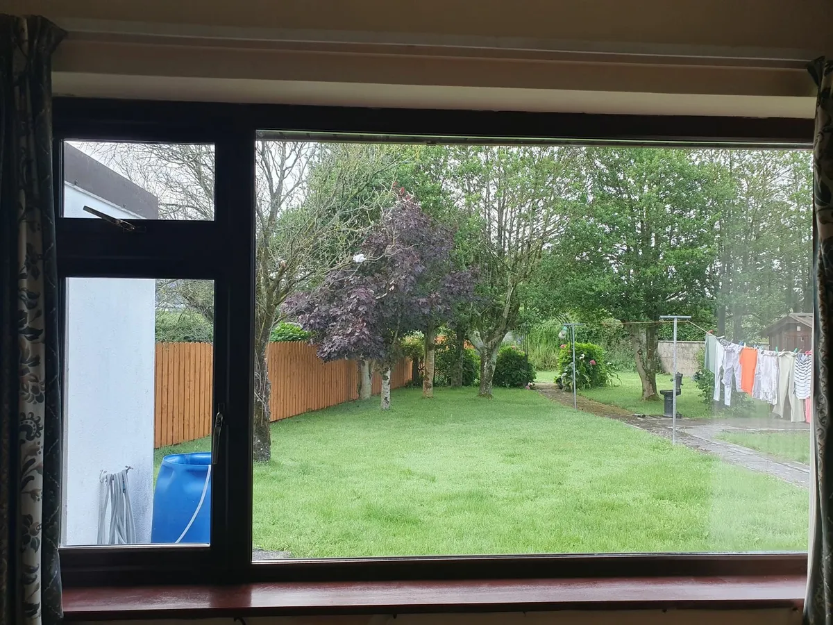 Window - Image 2
