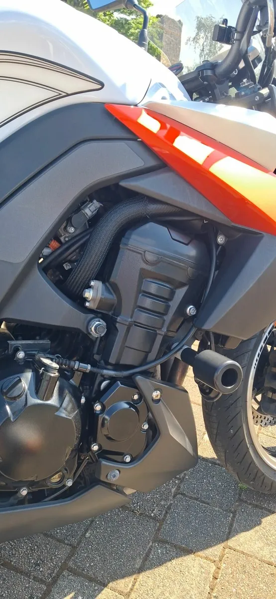 Kawasaki Other 2010 - Image 3