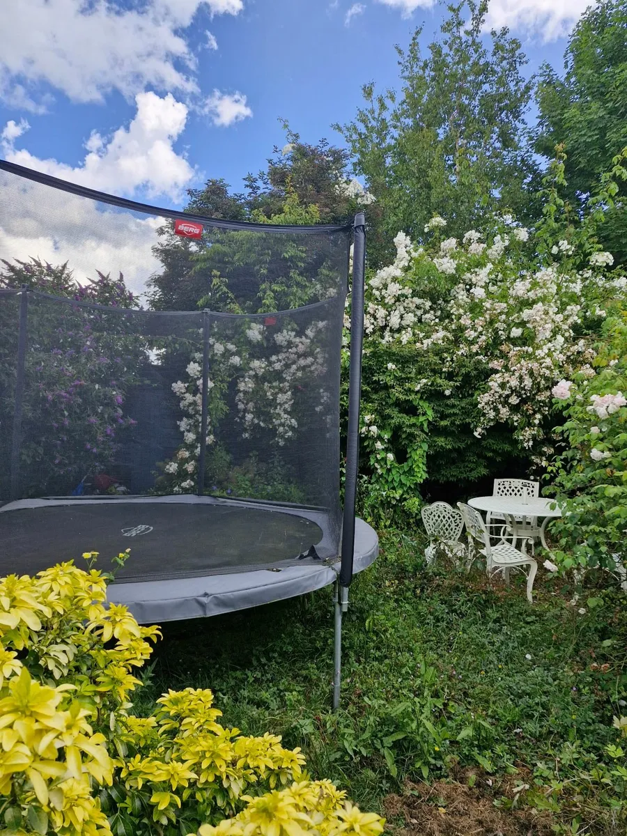 Trampoline - Image 3