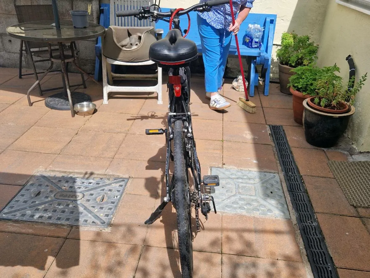 Electric bike - Image 1