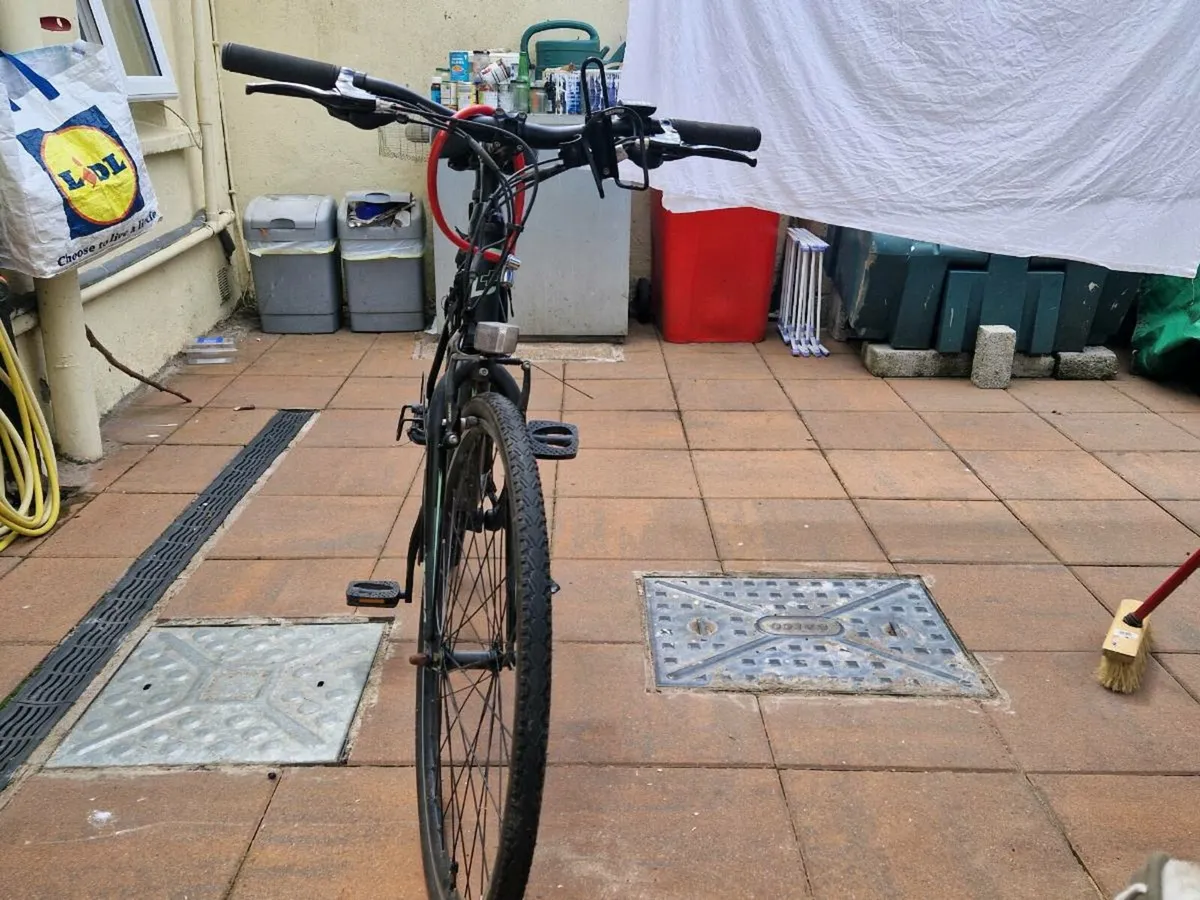 Electric bike - Image 2