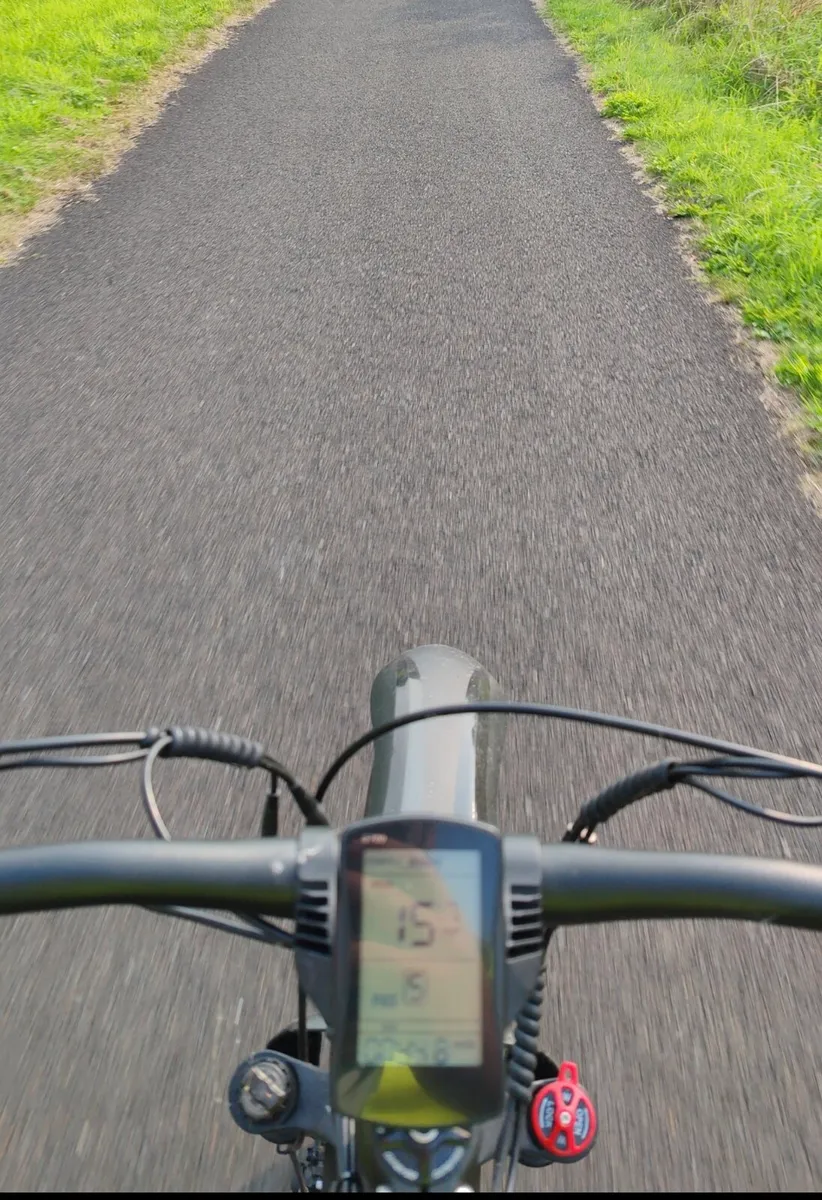 Electric fat bike - Image 2