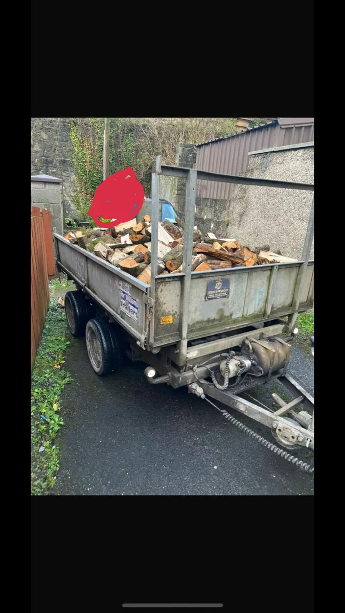 Fire wood - Image 1