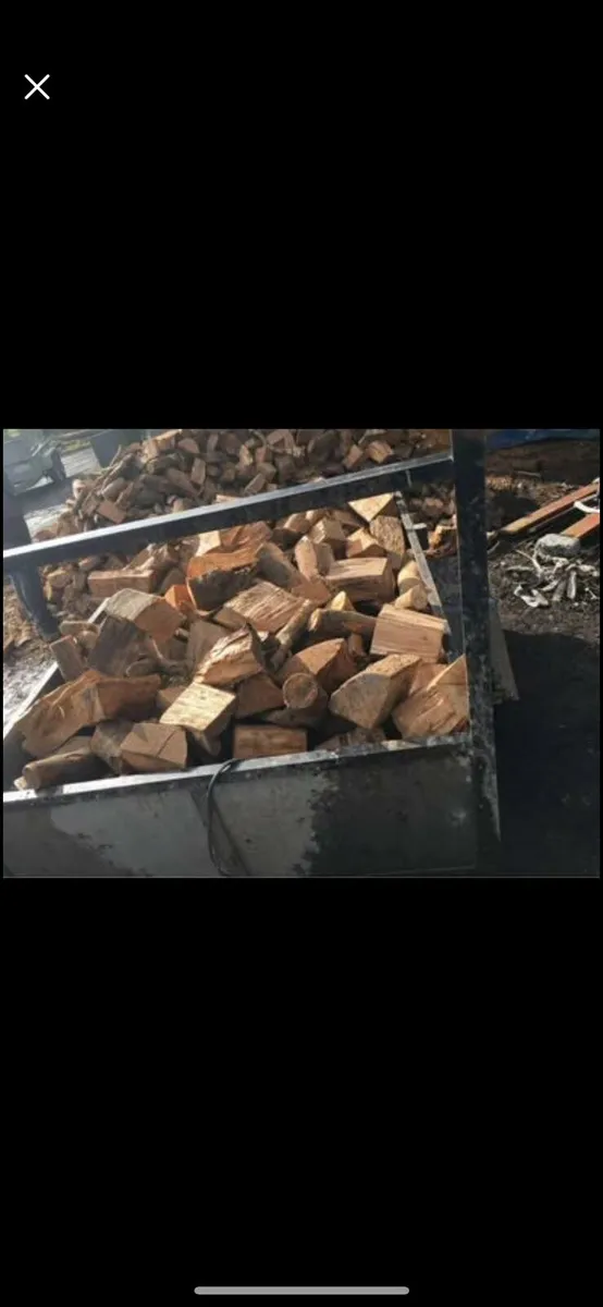 Fire wood - Image 2