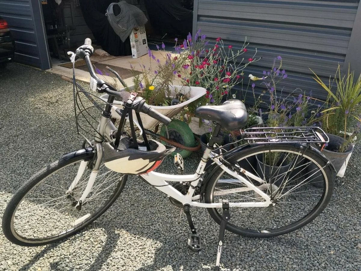 Ladies bike like new has stand and carrier plus he - Image 1