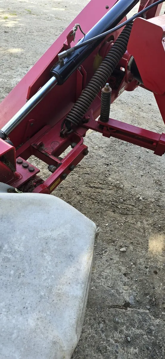 Lely - Image 4