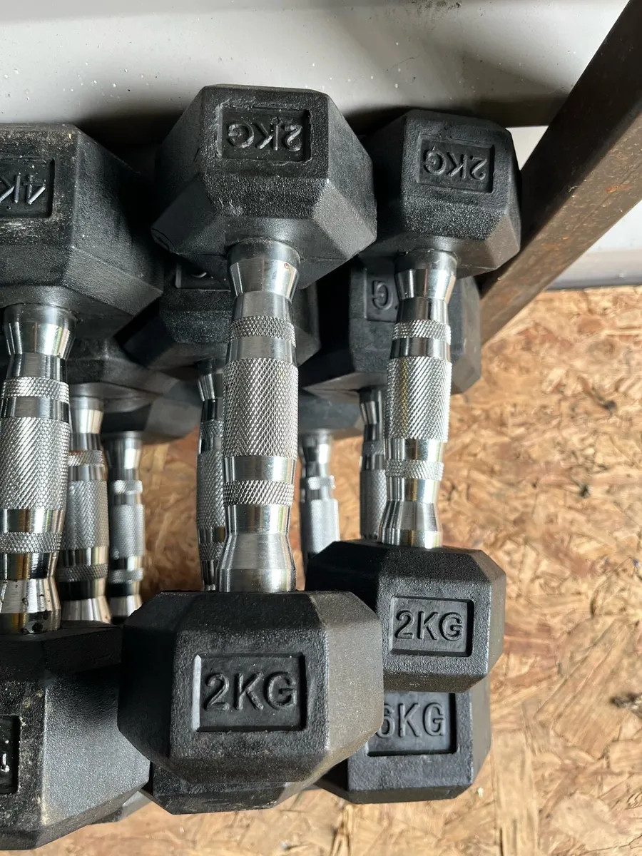 94kg rubber hex dumbbells (last set) - Image 1