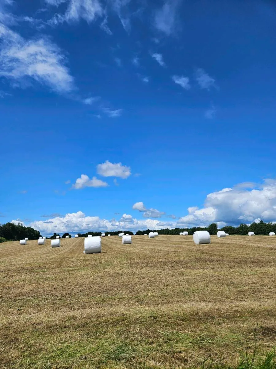 Silage Bales