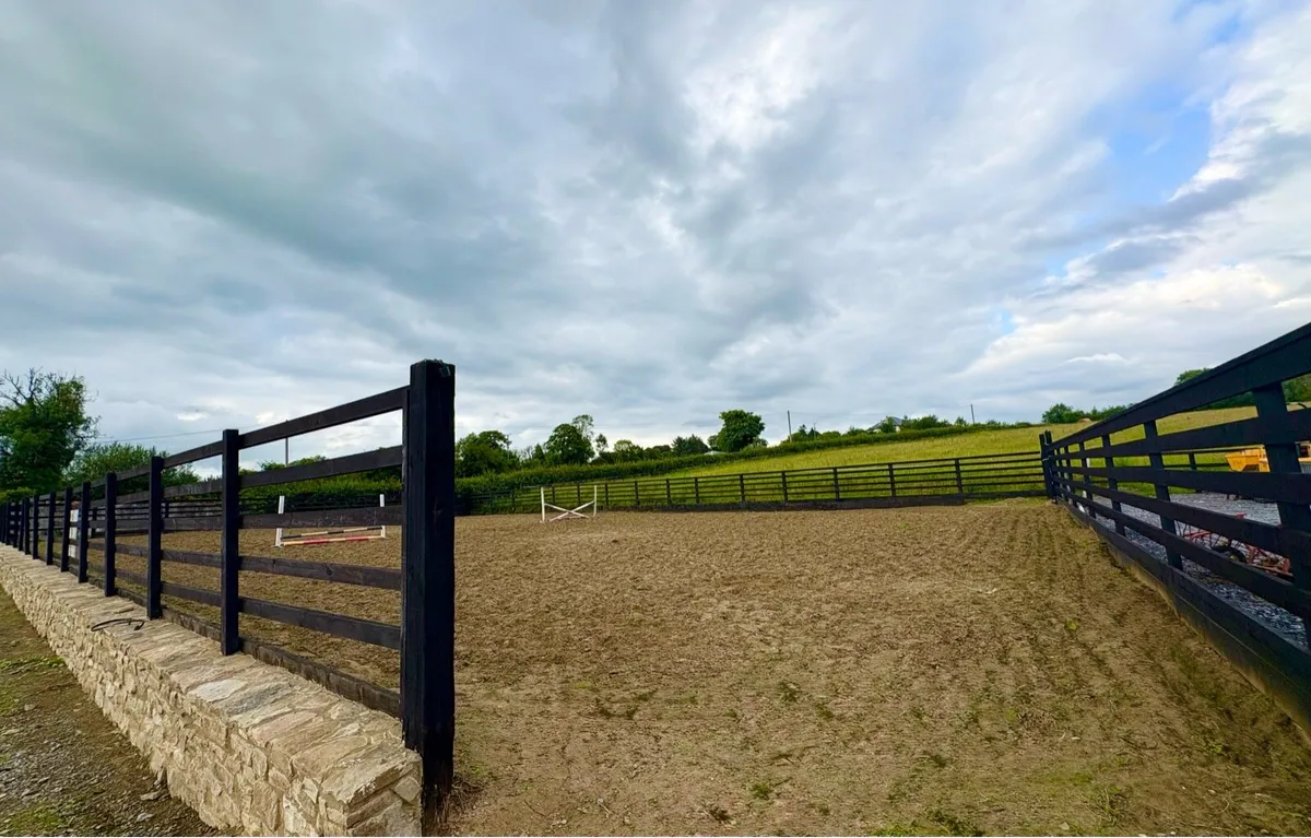Livery for up to 6 Horses/Ponies - Image 4