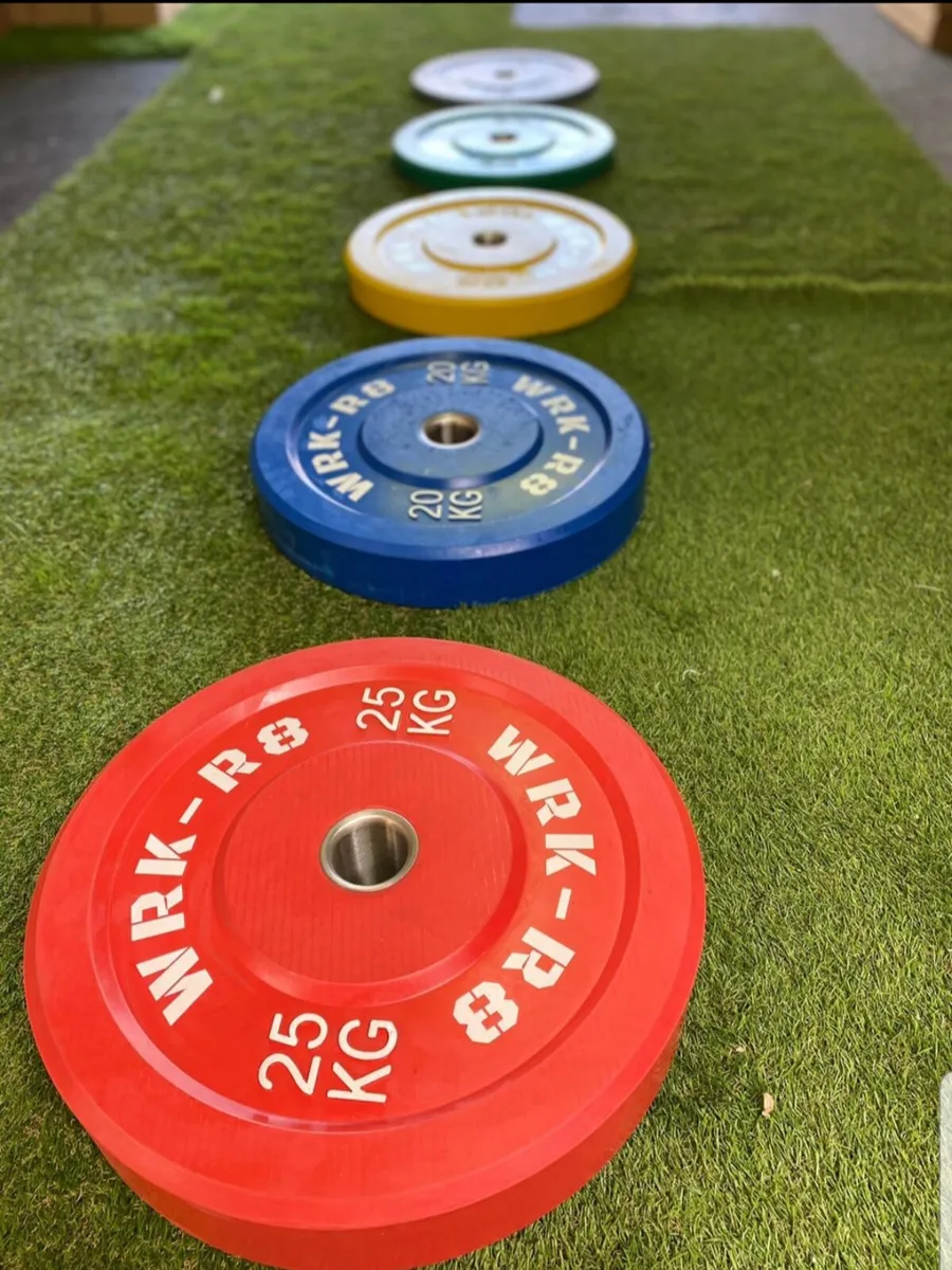 Gym equipment Dumbells Bumpers - Image 3